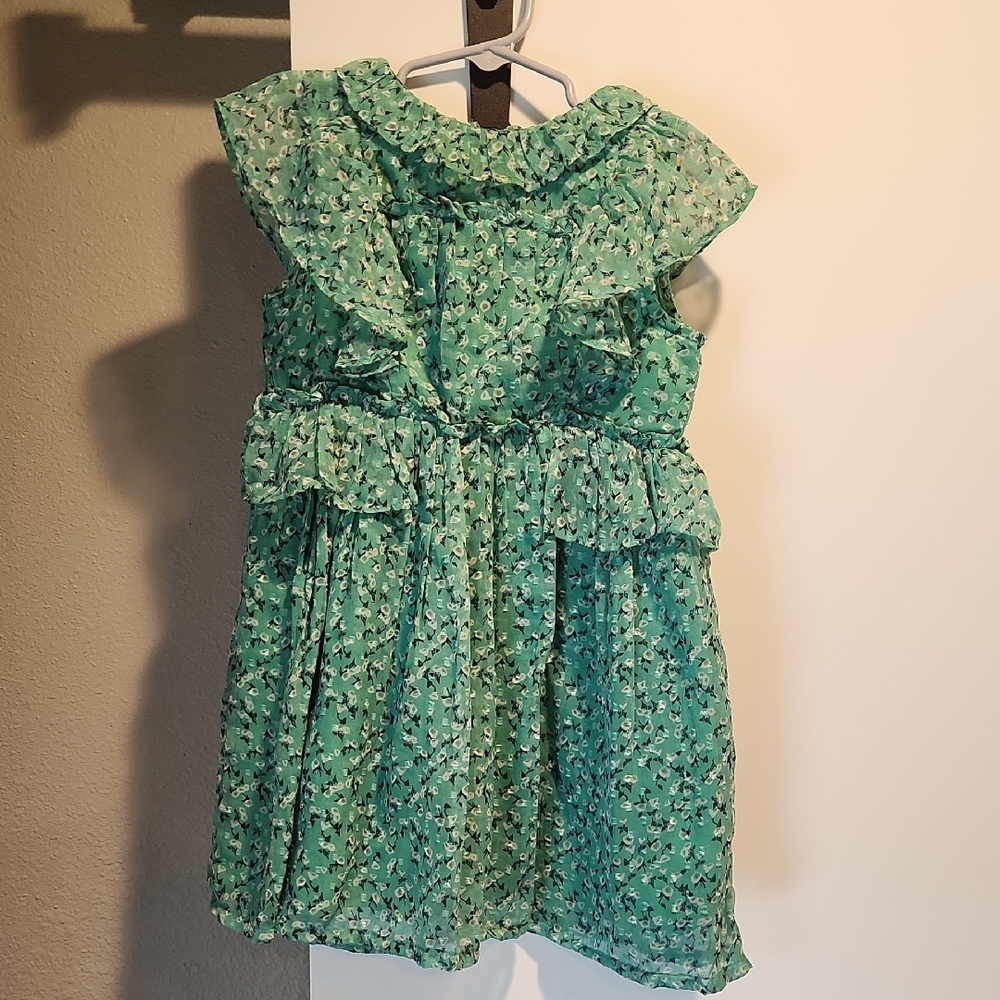 Next 3 To 4 Years Floral Ruffle Dress